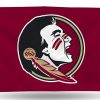 Florida State Banner Flag