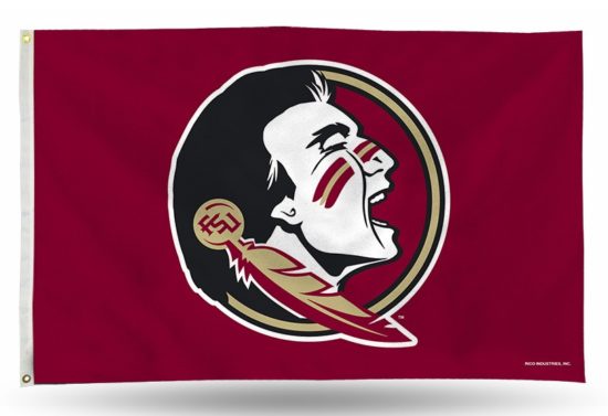 Florida State Banner Flag