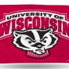 Wisconsin (Bucky) Banner Flag